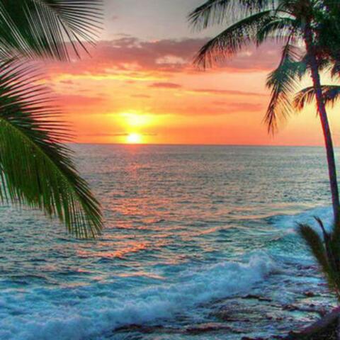 Island