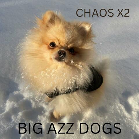 Big Azz Dogs