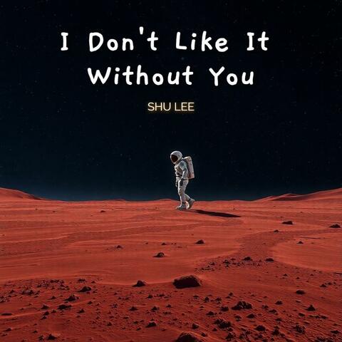 I Don't Like It Without You