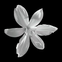 Kofi Annan (Afrobeat Instrumental)