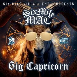 6IG CAPRICORN