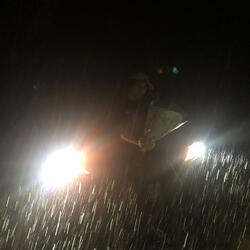 Raindrops