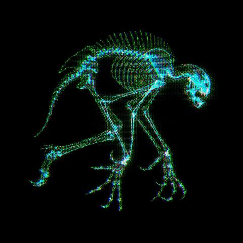 Residual Anatomy of Static
