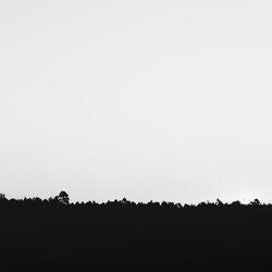 RSN 12 6 2022 (1 88)