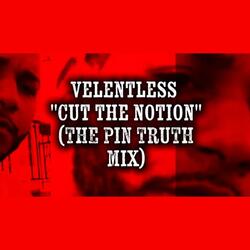 CUT THE NOTION (THE PIN TRUTH MIX)