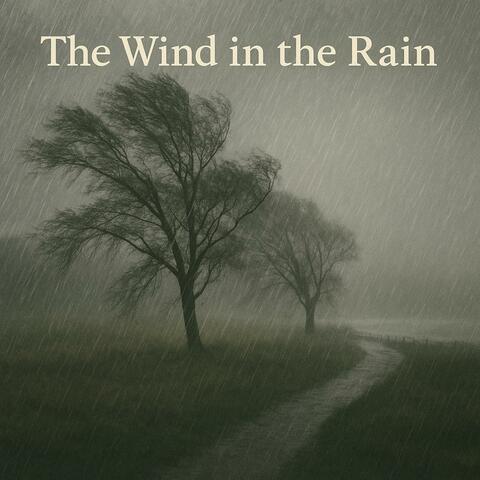 The wind in the rain