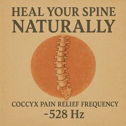 Back Pain Relief Music: Back Pain Healing Frequency