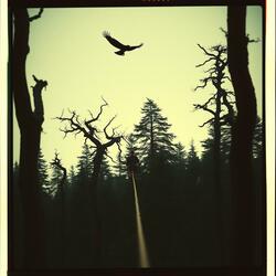 Zipline into the Abyss Again