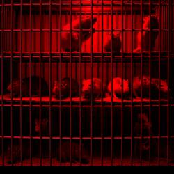 Omega Vee (feat. Mr Titanium Hybrid)