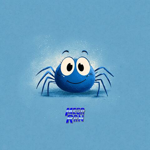 The Itsy Bitsy Spider