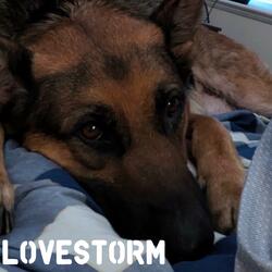 LoveStorm