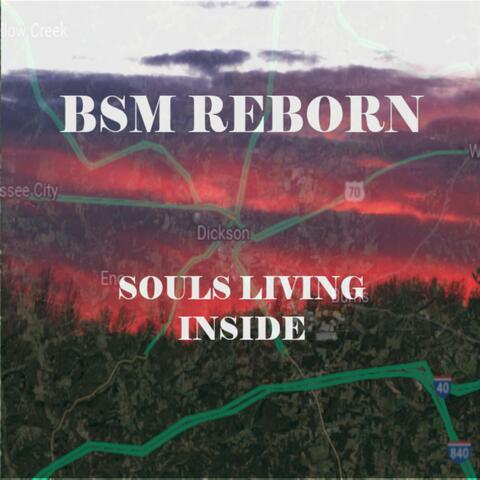 SOULS LIVING INSIDE