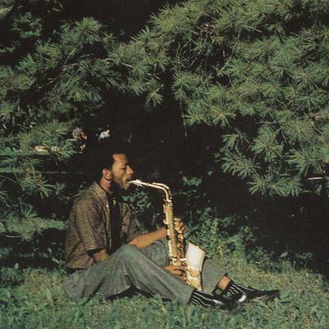 Green Note