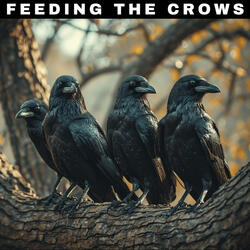 Feeding the Crows