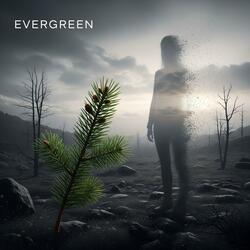 Evergreen