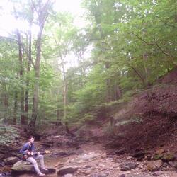 Light Beyond the Fall