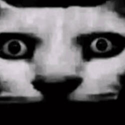 Yk I Lied (feat. Takinyadxwn)