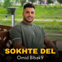 Sokhte Del