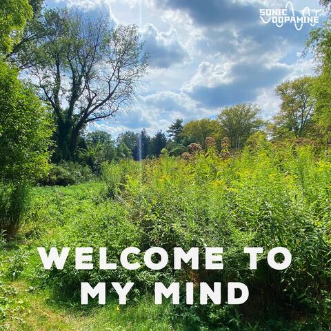 Welcome To My Mind (2025 JW Remix)