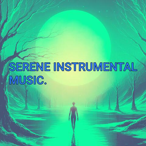 SERENE INSTRUMENTAL MUSIC.