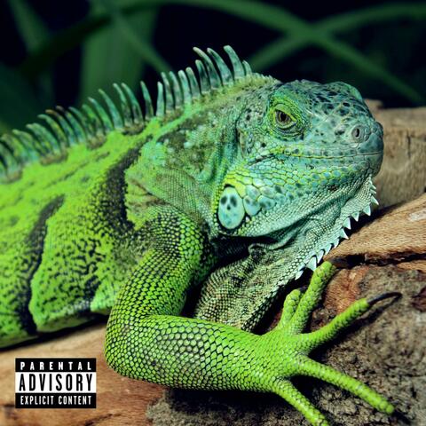 Iguana Tape