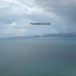 Flowed Circuit (Bass Extended Version)