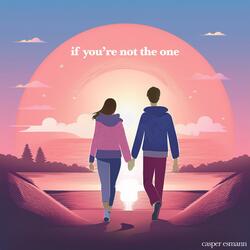 If You're Not The One (acoustic instrumental)