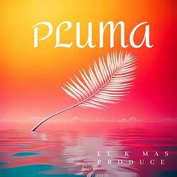 PLUMA
