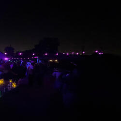 garfield (feat. Peter Dien & LOGODS)