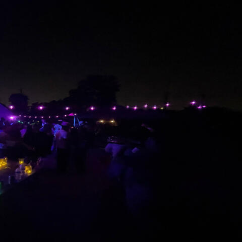 garfield (feat. Peter Dien & LOGODS)