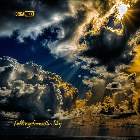 Falling From The Sky