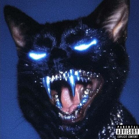 פוסיפלסטין (feat. SHVM$h1NX)