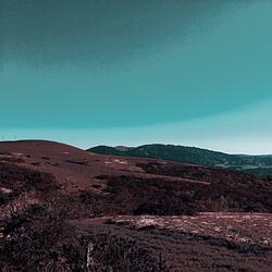 Joker Gang (feat. Ellis & Sasquatch)