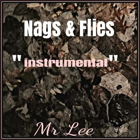 Nags and Flies (Instrumental)