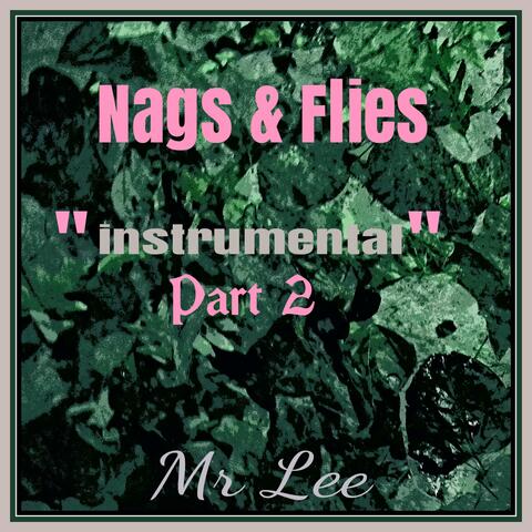 Nags and Flies again (instrumental)