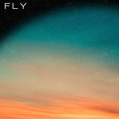 Fly