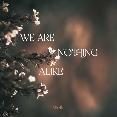 we are nothing alike