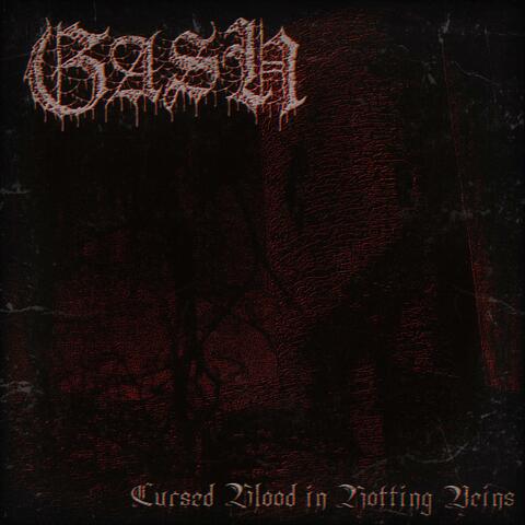 Cursed Blood in Rotting Veins