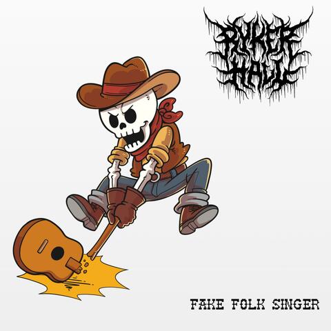 Fake Folk Singer