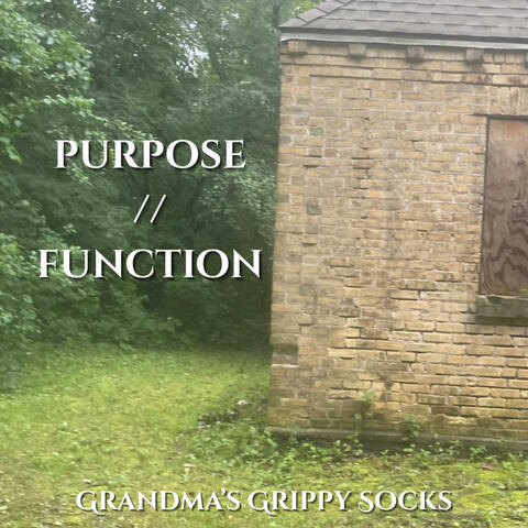 Purpose/ Function