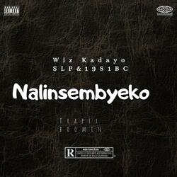 Nalinsembyeko