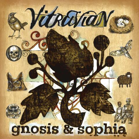 Gnosis and Sophia