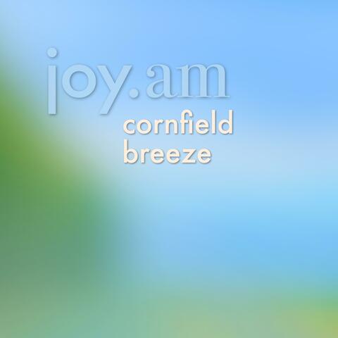 cornfield breeze