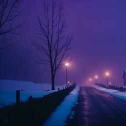 under a peaceful sky