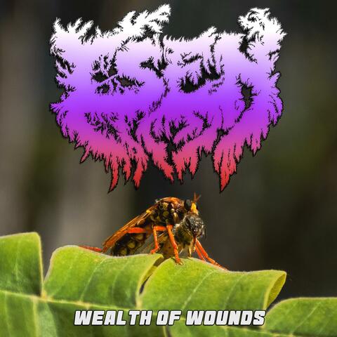 Wealth of Wounds