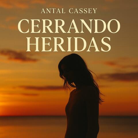 CERRANDO HERIDAS
