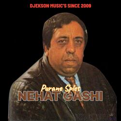 NEHAT GASHI (SPLET Dunjaja Hohavni)