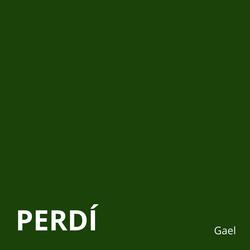 Perdí