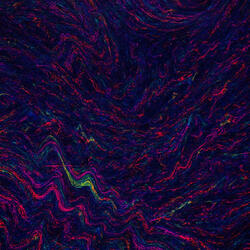 Quantum Pulse