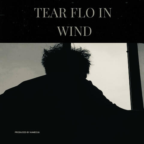 Tear Flo In Wind (feat. YBL)